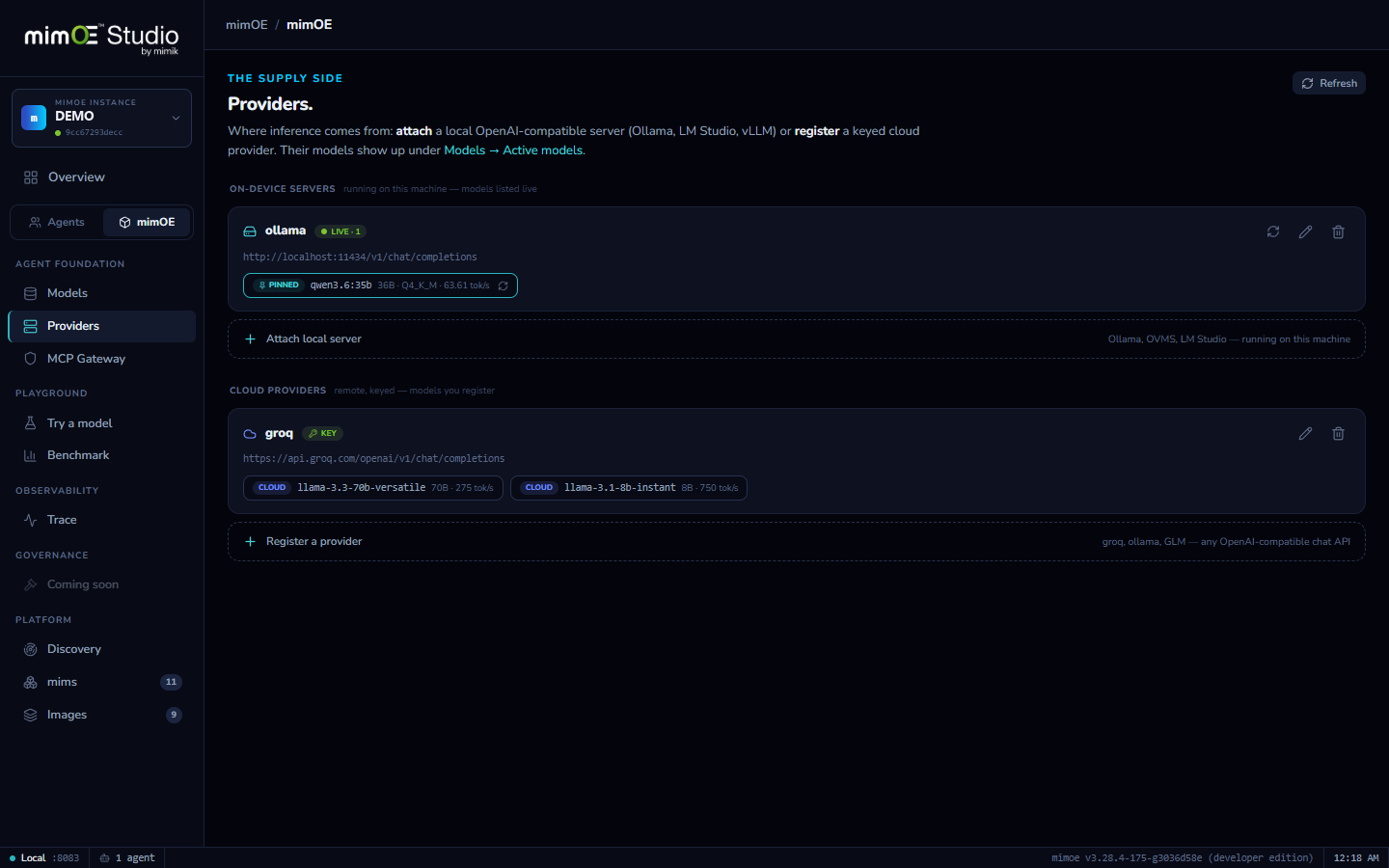 Providers: attached Ollama server and a cloud provider
