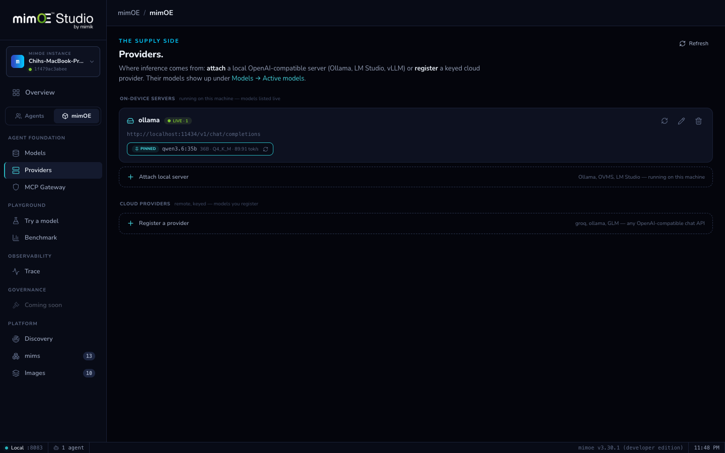 Providers page with Ollama attached live
