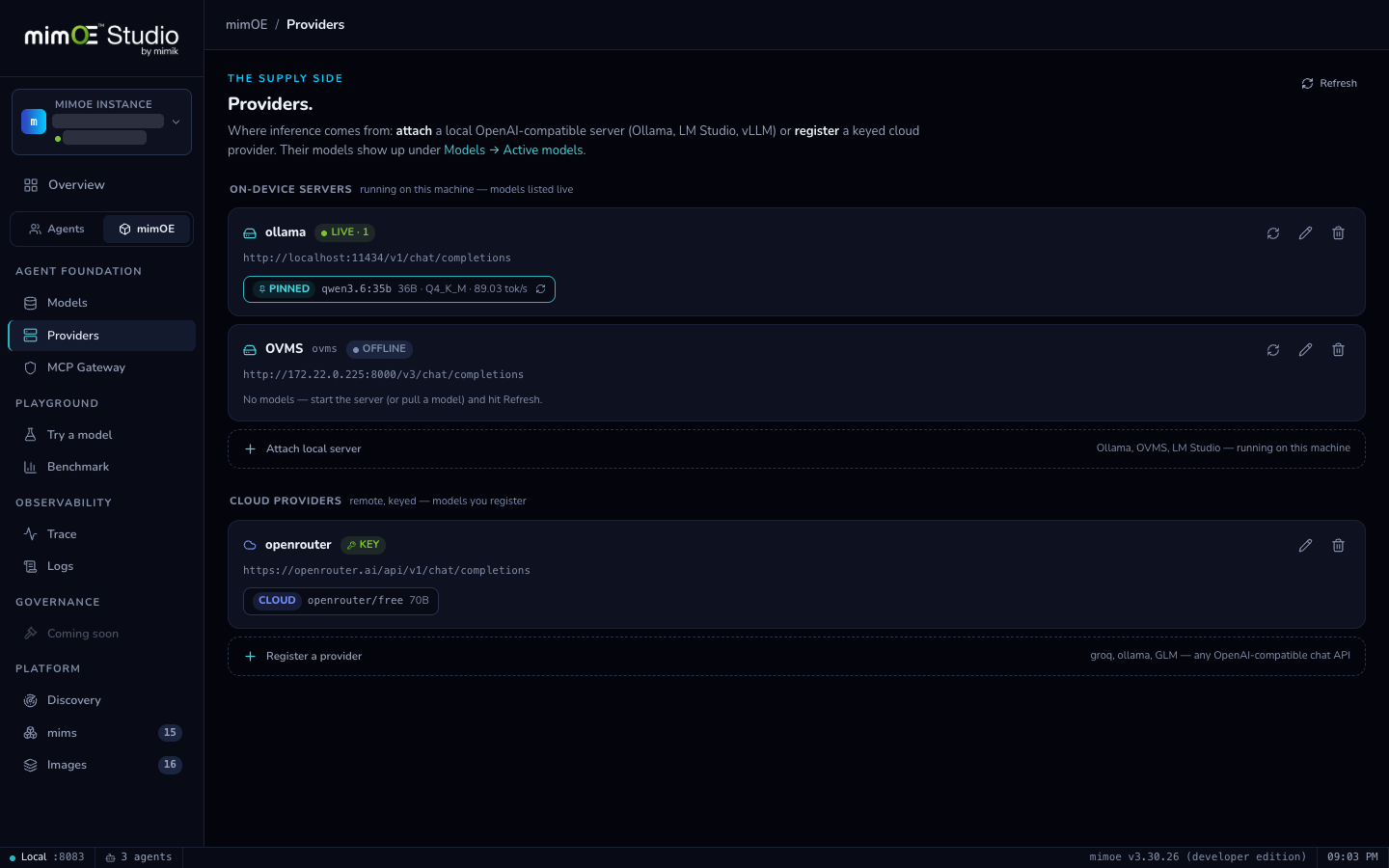 Providers page with Ollama attached live